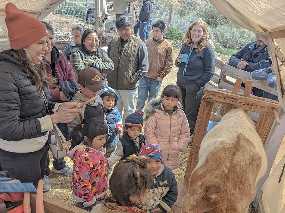 Teaching local children how to milk the goats